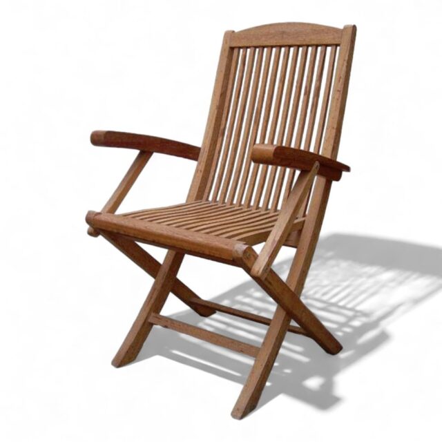 Silla Zebra Arms